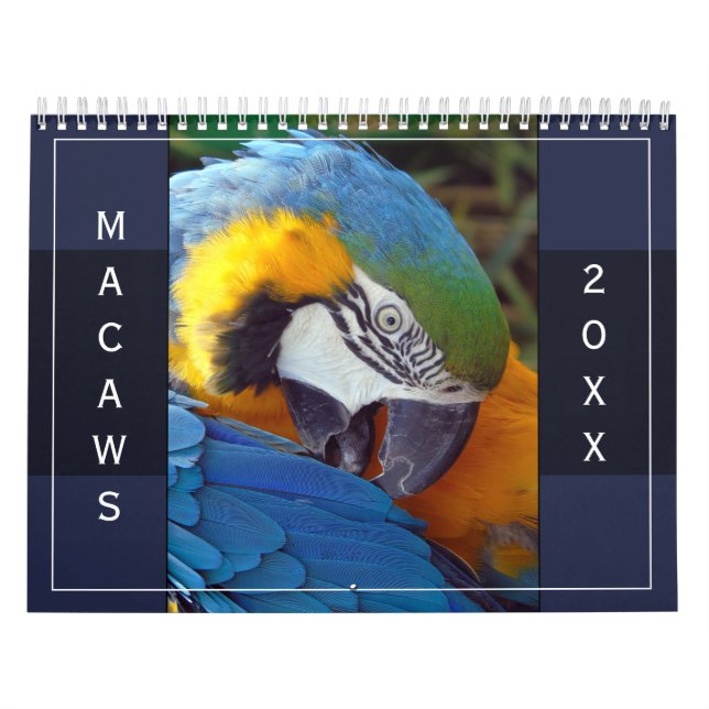 Macaw Parrot Blue Gold Scarlet Hyacinth 2026 Bird Kalender (Titelbild)