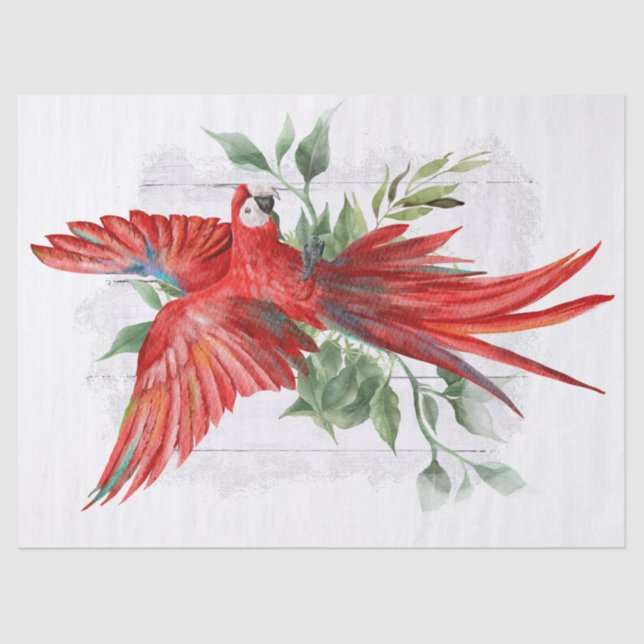 Macaw Parrot Eucalyptus Watercolor Seidenpapier (Vorderseite)