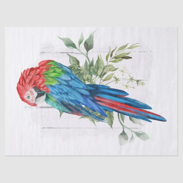 Macaw Parrot Eucalyptus Watercolor Seidenpapier (Vorderseite)