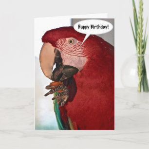 Macaw Parrot Happy Birthday Card Karte