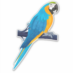 Macaw Parrot in Blau und Gold Aufkleber