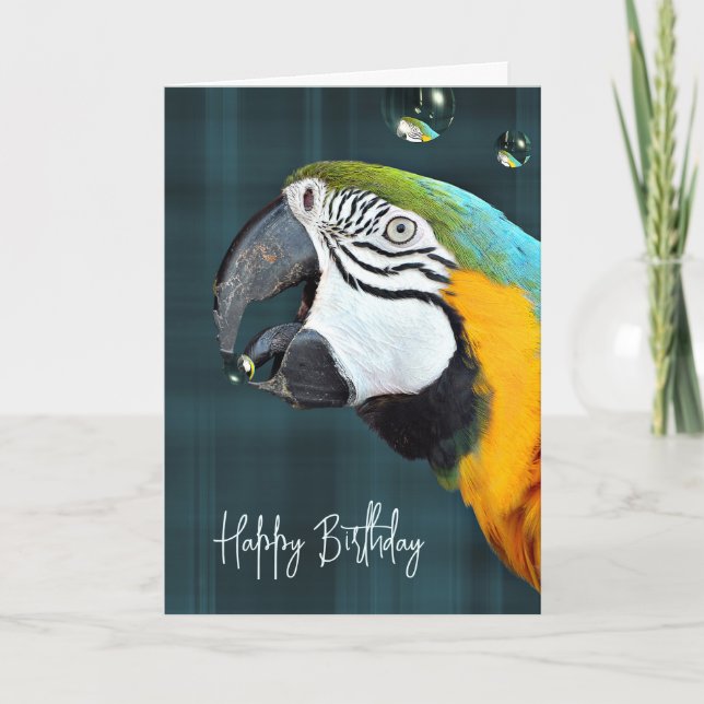 Macaw Parrot mit Bläschen Geburtstag Karte (Vorderseite)