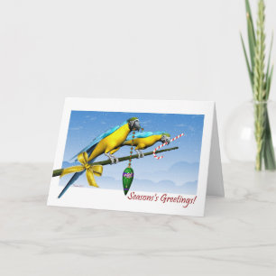 Macaw Parrot Ornaments Saisonkarte Feiertagskarte