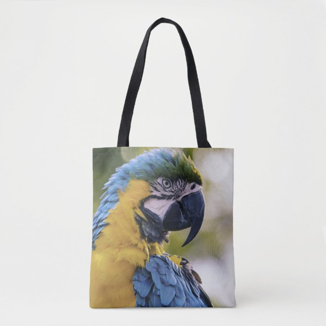 Macaw Parrot Portrait Foto (Vorderseite)