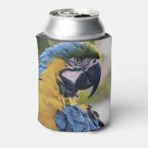 Macaw Parrot Portrait Foto Dosenkühler