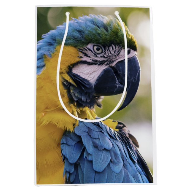 Macaw Parrot Portrait Foto Mittlere Geschenktüte (Vorderseite)