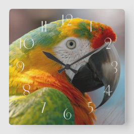 Macaw Parrot Quadratische Wanduhr