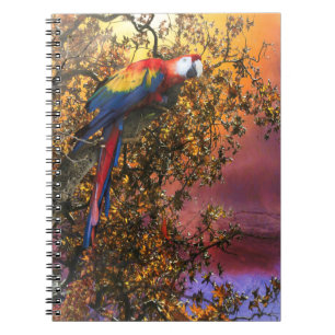 MACAW PARROT RAIN FOREST OUTPOST NOTIZBLOCK