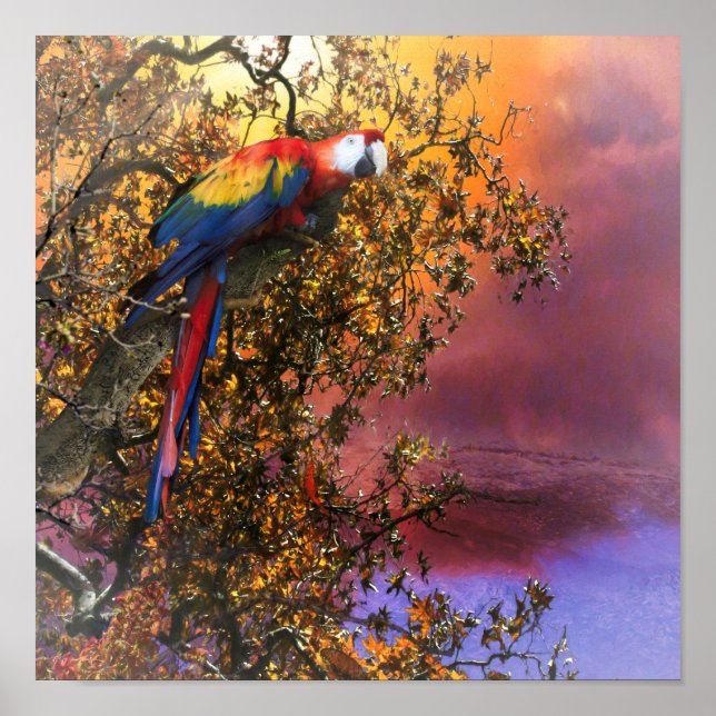 MACAW PARROT RAIN FOREST OUTPOST POSTER (Vorne)