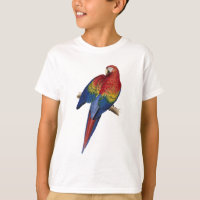 Macaw Parrot Rosa Gelber Grüner Vogel