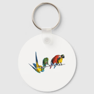 Macaw Parrot Schlüsselanhänger