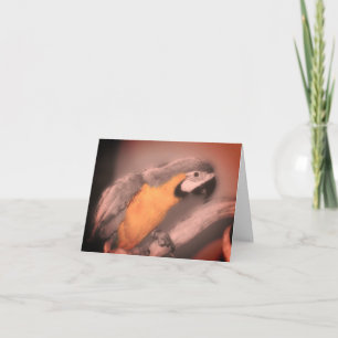 Macaw Parrot Schwarz-weiße partielle Farbnotierkar Dankeskarte