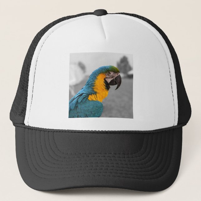Macaw Parrot Truckerkappe (Vorderseite)