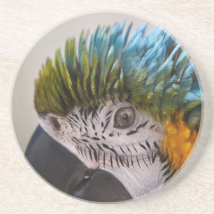 Macaw Parrot - Untersetzer
