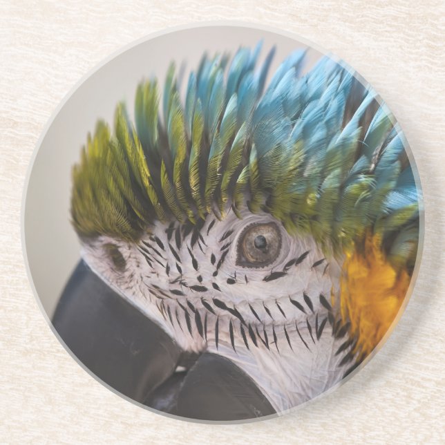 Macaw Parrot - Untersetzer (Vorne)
