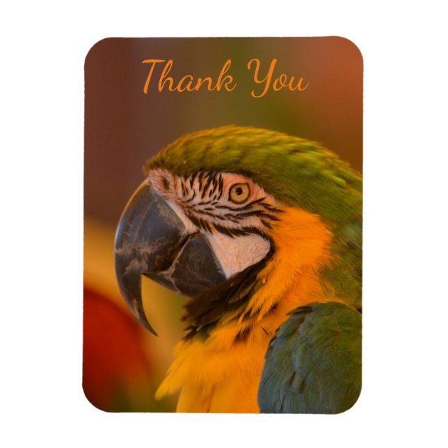 Macaw Parrot Vielen Dank Magnet (Vertikal)