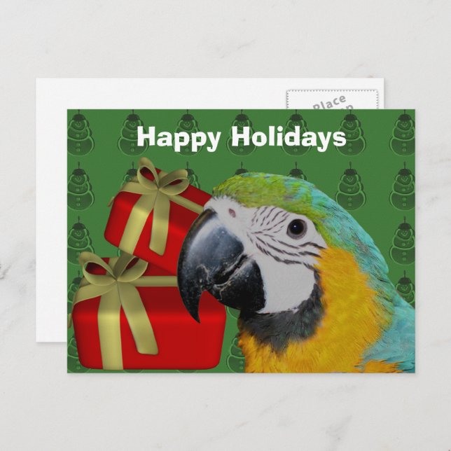 Macaw Parrot Weihnachtsfeiertag Postkarte (Vorne/Hinten)