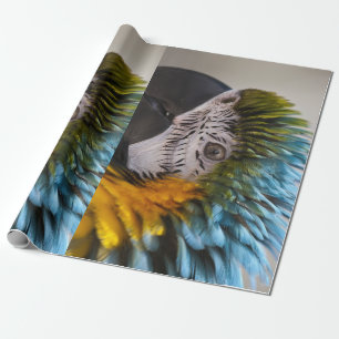 Macaw Parrot Wrapping Paper Geschenkpapier