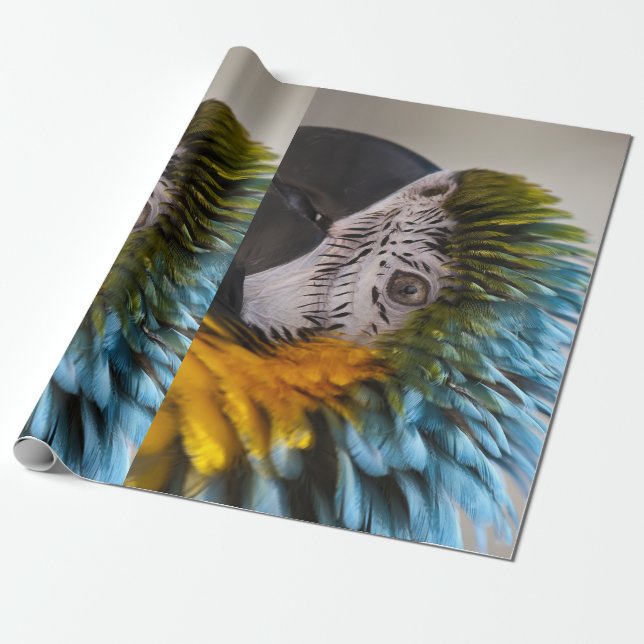 Macaw Parrot Wrapping Paper Geschenkpapier (Ungerollt)
