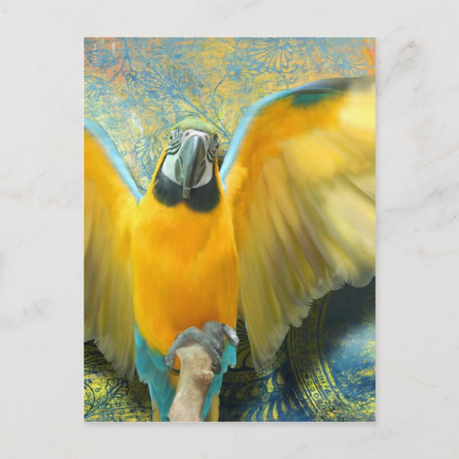 Macaw Postcard Postkarte (Vorderseite)