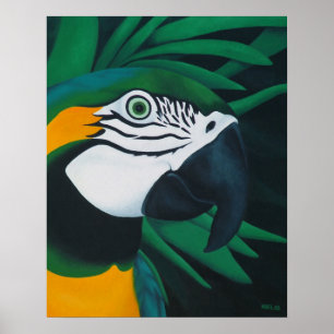 Macaw Poster