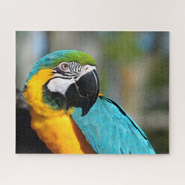 Macaw Print, Value Poster Paper (Matte) Puzzle (Horizontal)