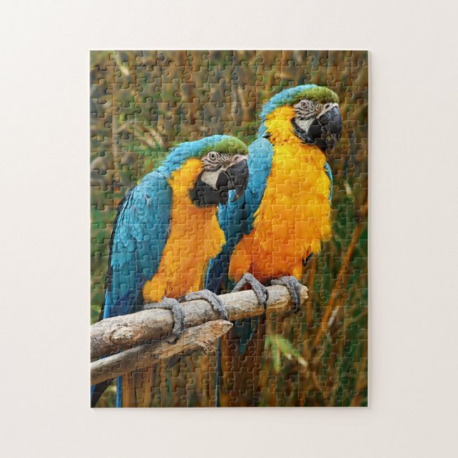 Macaw Puzzle (Vertikal)