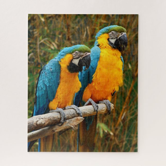 Macaw Puzzle (Vertikal)