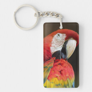 Macaw Schlüsselanhänger