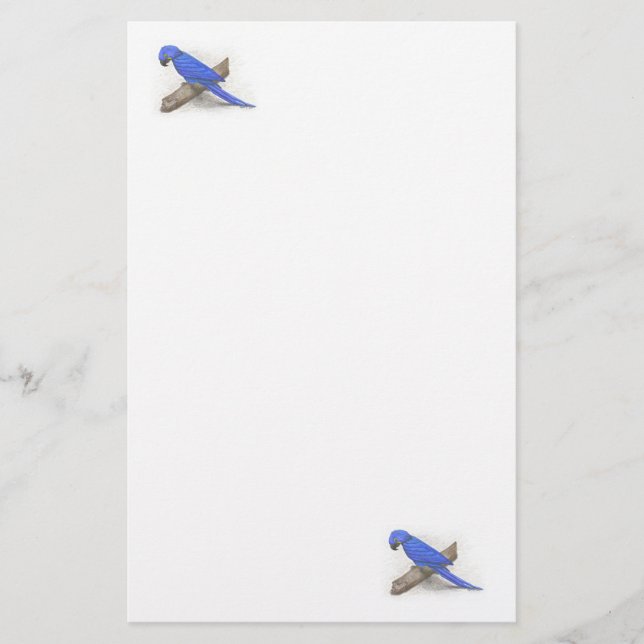 Macaw Stationery Briefpapier (Vorderseite)