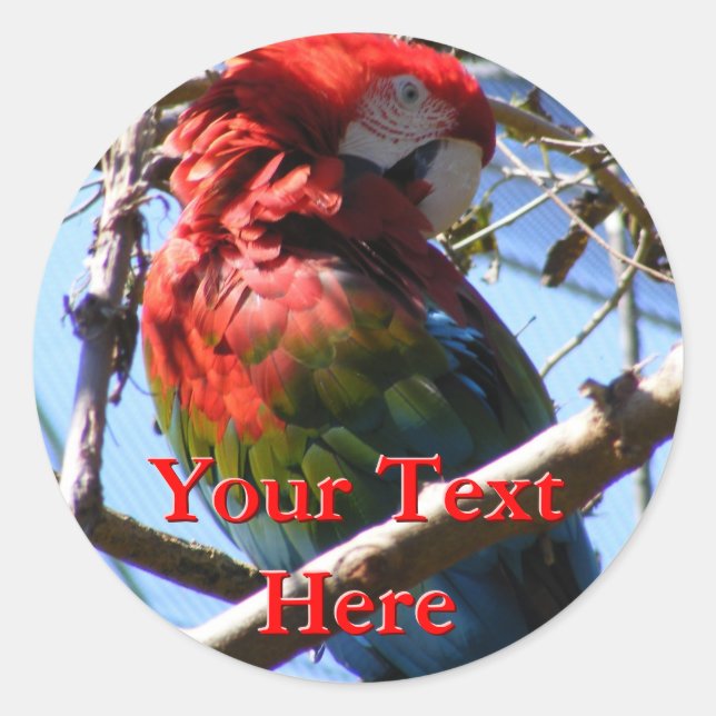 Macaw Stickers (Vorderseite)