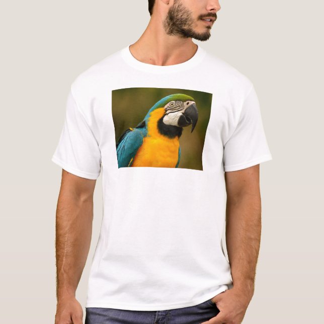 Macaw T-Shirt (Vorderseite)