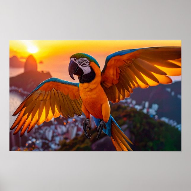 Macaw über Rio De Janeiro horizontales Poster (Vorne)