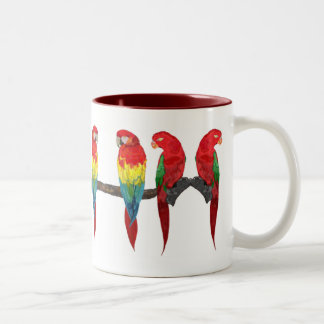 Macaw-und Lory-Trinkbehälter Zweifarbige Tasse