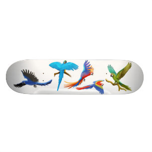 Macaw-verrücktes Skateboard