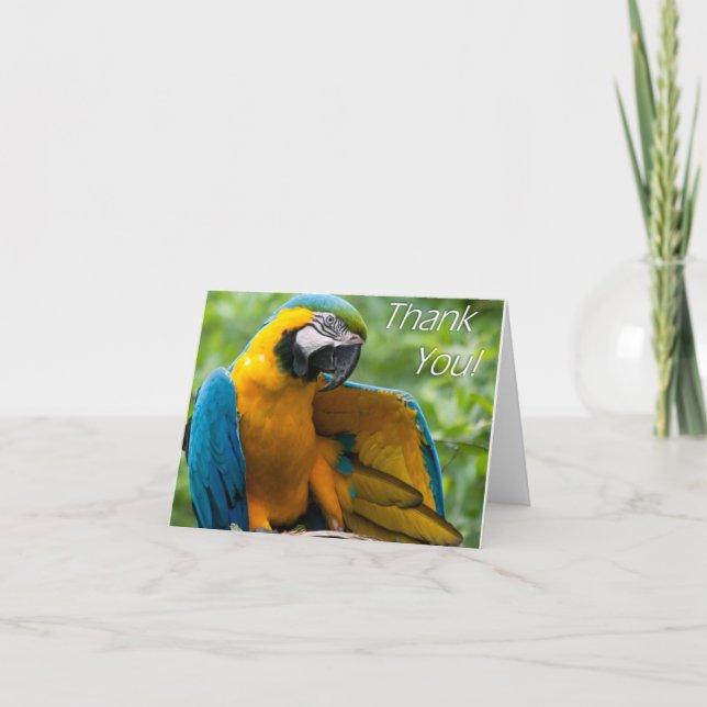 Macaw Vielen Dank Notecards Dankeskarte (Vorderseite)