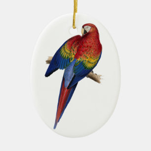 Macaw-Vogel-PapageiParakeet Keramik Ornament