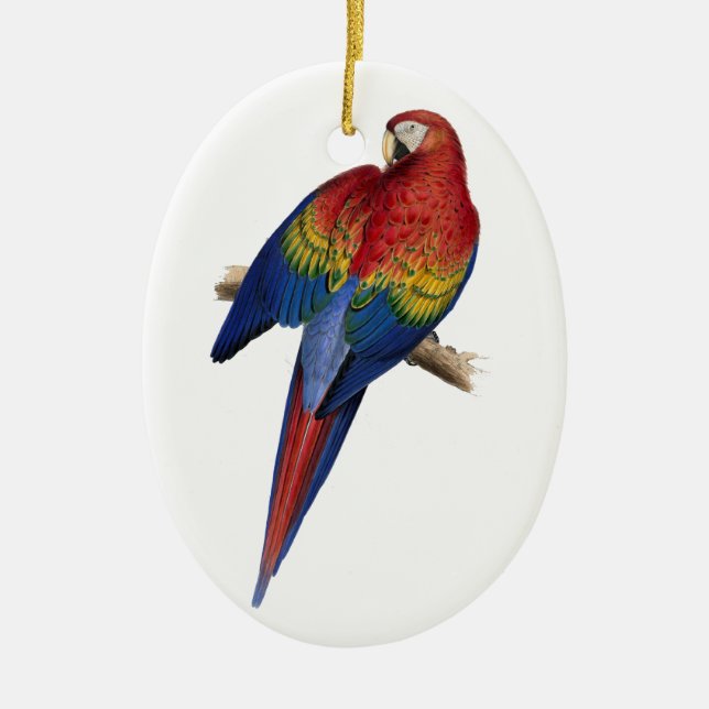 Macaw-Vogel-PapageiParakeet Keramik Ornament (Vorne)