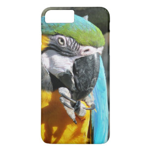 MACAWS Case-Mate iPhone HÜLLE