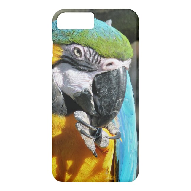 MACAWS Case-Mate iPhone HÜLLE (Rückseite)