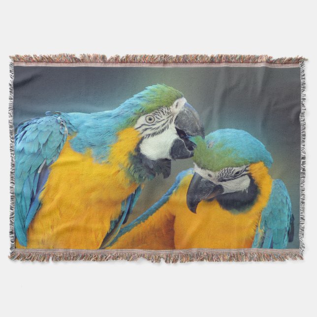 Macaws in love decke (Vorderseite)