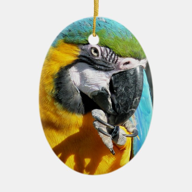 MACAWS KERAMIKORNAMENT (Vorne)