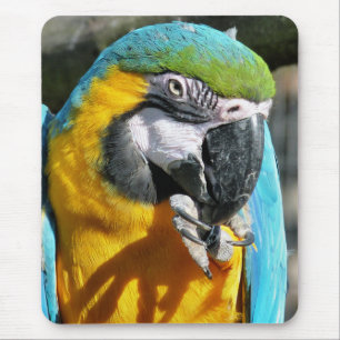 MACAWS MOUSEPAD
