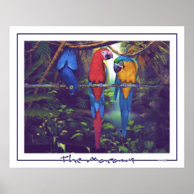 Macaws - Poster (Vorne)