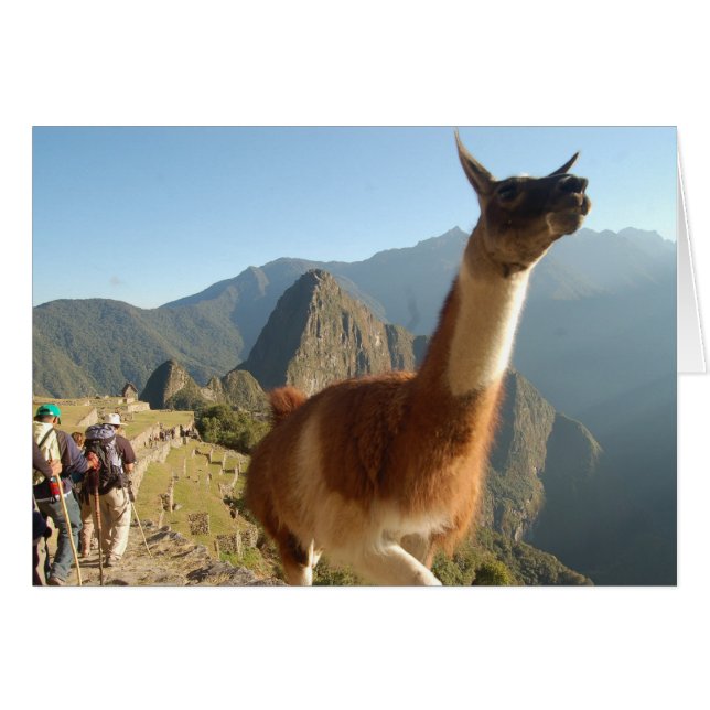 Macchu Picchu (Vorderseite (Horizontal))