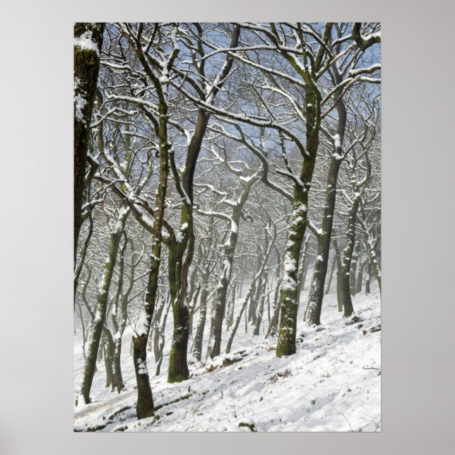 Macclesfield Forest Winter Card Canvas Print Poster (Vorne)