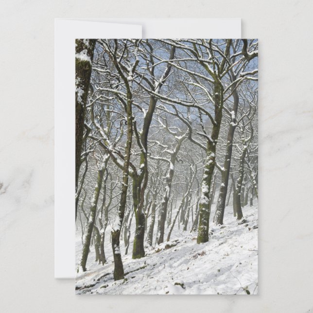 Macclesfield Forest Winter Card Dankeskarte (Vorderseite)