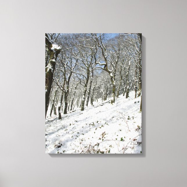 Macclesfield Forest Winter Card Leinwanddruck (Vorderseite)