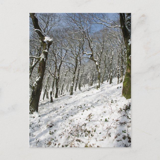 Macclesfield Forest Winter Card Postkarte (Vorderseite)