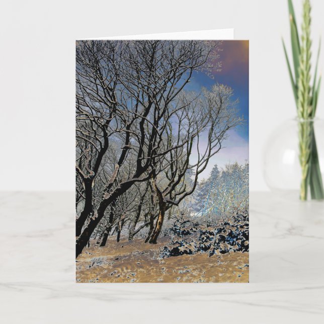 Macclesfield Forest Winter Karte (Vorderseite)